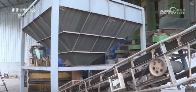 必赢：科技助力抢收抢烘保秋粮多部门联动深入一线确保粮食颗粒归仓(图2)