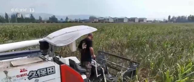 必赢：科技助力抢收抢烘保秋粮多部门联动深入一线确保粮食颗粒归仓(图15)