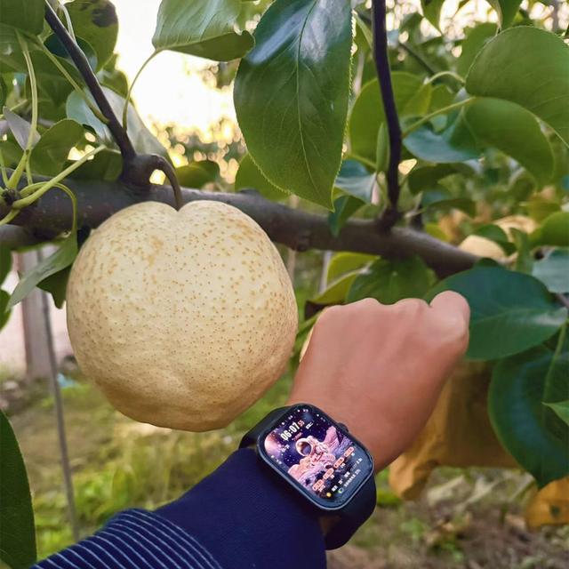 bwin网站：展示新品链接客商食博会渐成中小企业产品展示平台(图2)