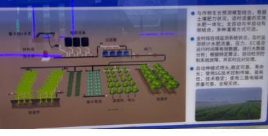 必赢：“豫”见东盟“道”通天下(图4)