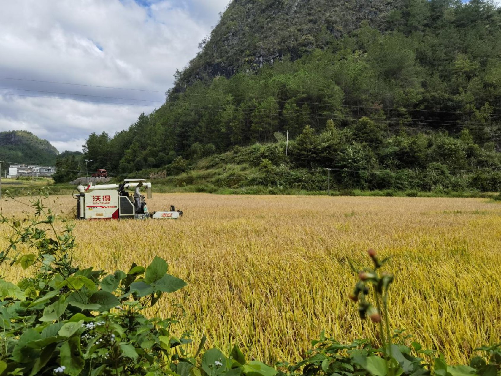 bwin网站：“农机共享”收获“双赢”(图1)