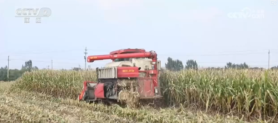 bwin网站：多举措协同全力推进秋收高科技农机与时间“赛跑”抢收抢种(图8)