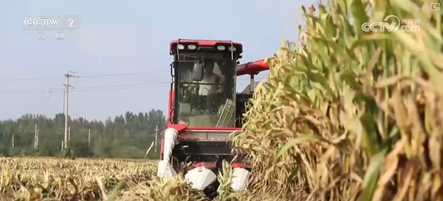 bwin网站：多举措协同全力推进秋收高科技农机与时间“赛跑”抢收抢种(图9)
