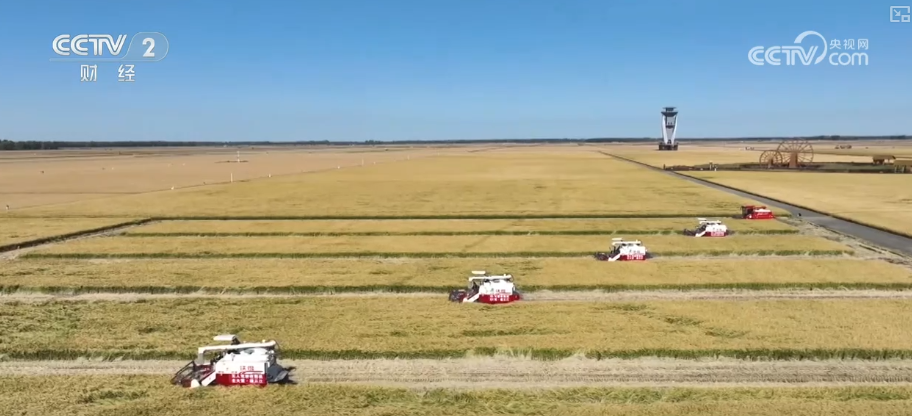 bwin网站：多举措协同全力推进秋收高科技农机与时间“赛跑”抢收抢种(图4)