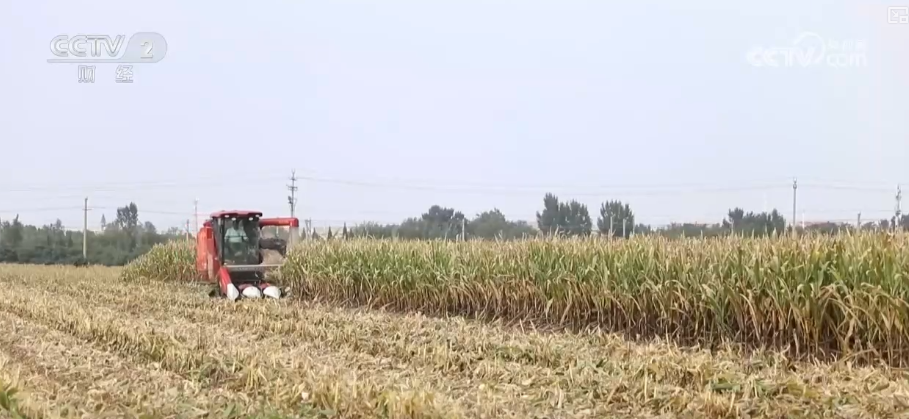 bwin网站：多举措协同全力推进秋收高科技农机与时间“赛跑”抢收抢种(图7)