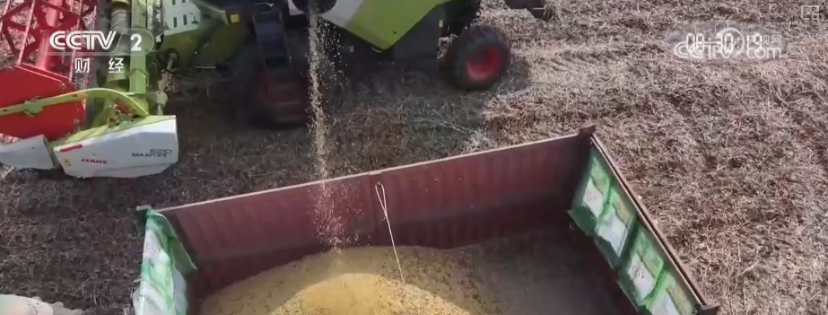 bwin网站：多举措协同全力推进秋收高科技农机与时间“赛跑”抢收抢种(图19)