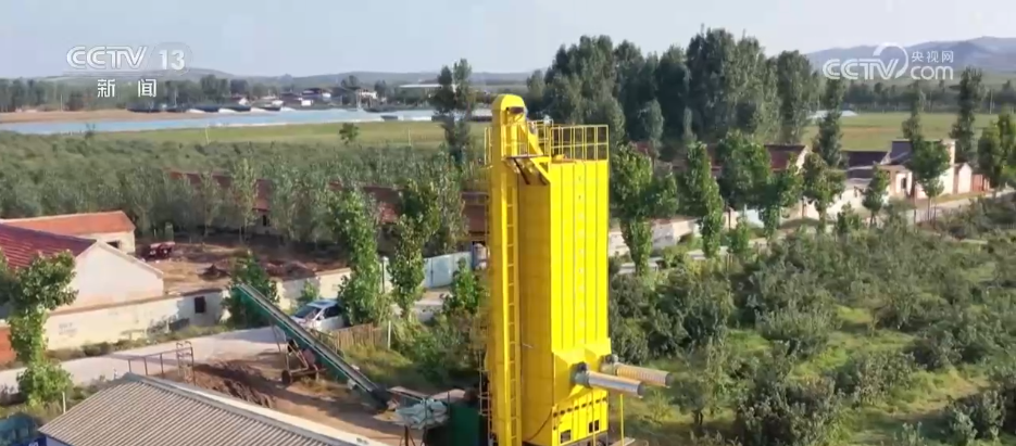 必赢国际：无人机照明、烘干设备“连轴转”……多方联动打好秋收“攻坚战”(图1)