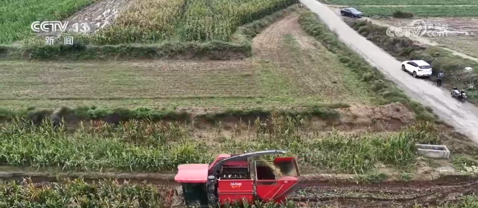 必赢国际：无人机照明、烘干设备“连轴转”……多方联动打好秋收“攻坚战”(图3)