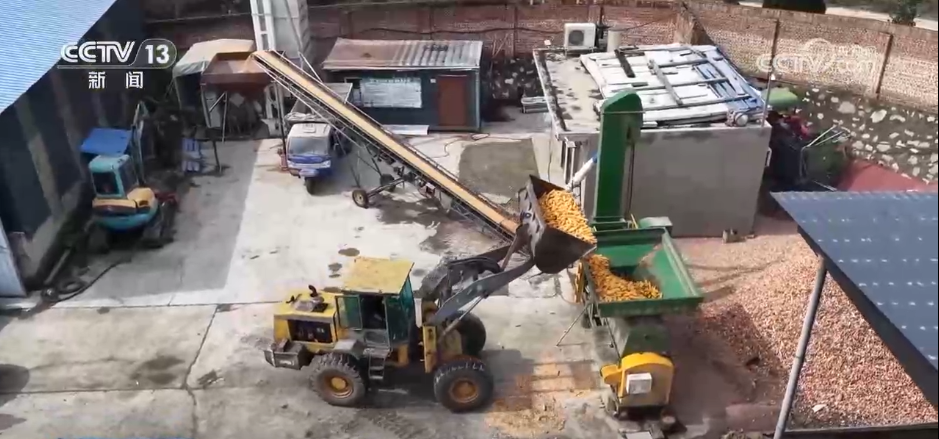 必赢国际：无人机照明、烘干设备“连轴转”……多方联动打好秋收“攻坚战”(图4)