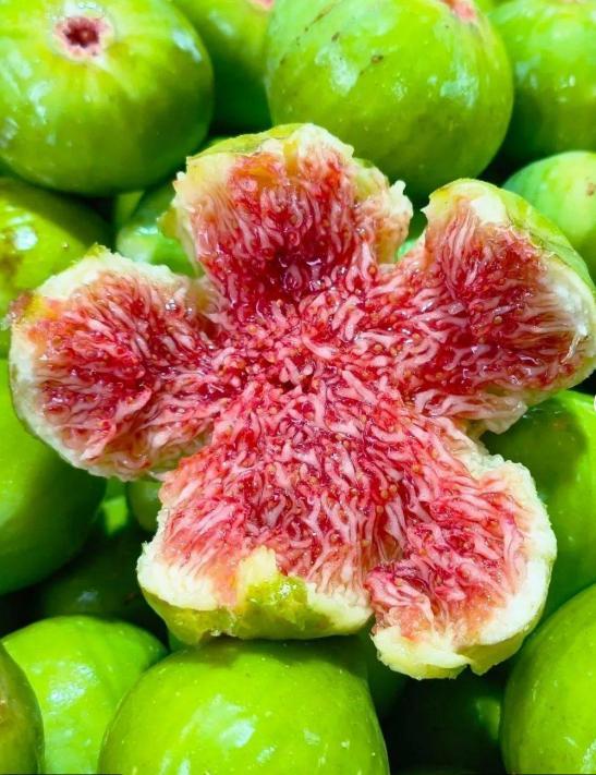 bwin网站：招展火热新品更多淄博食博会展现两大新态势(图1)