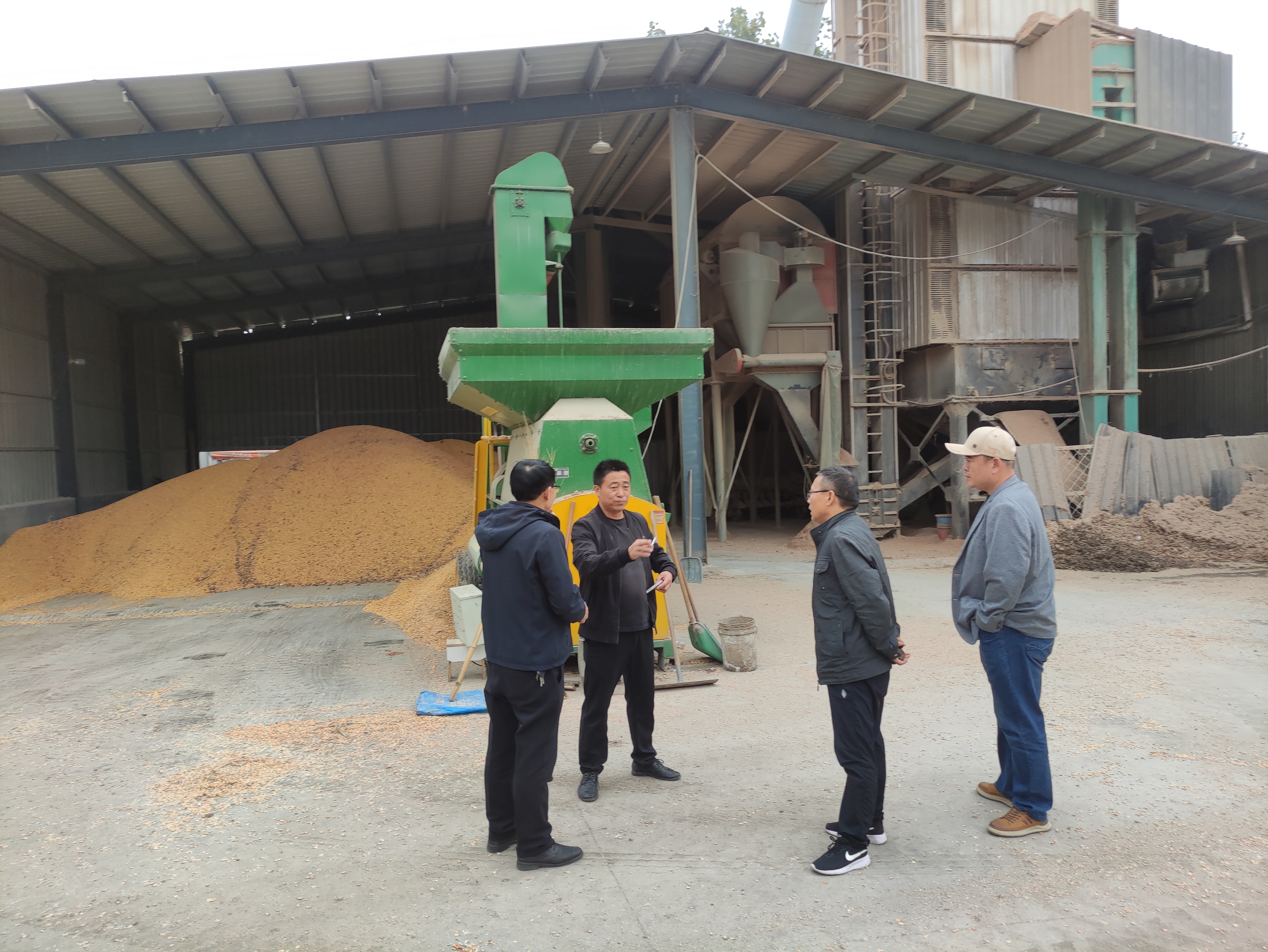 必赢国际：河南夏邑：下好秋粮“先手棋”打好烘粮“主动仗”(图1)