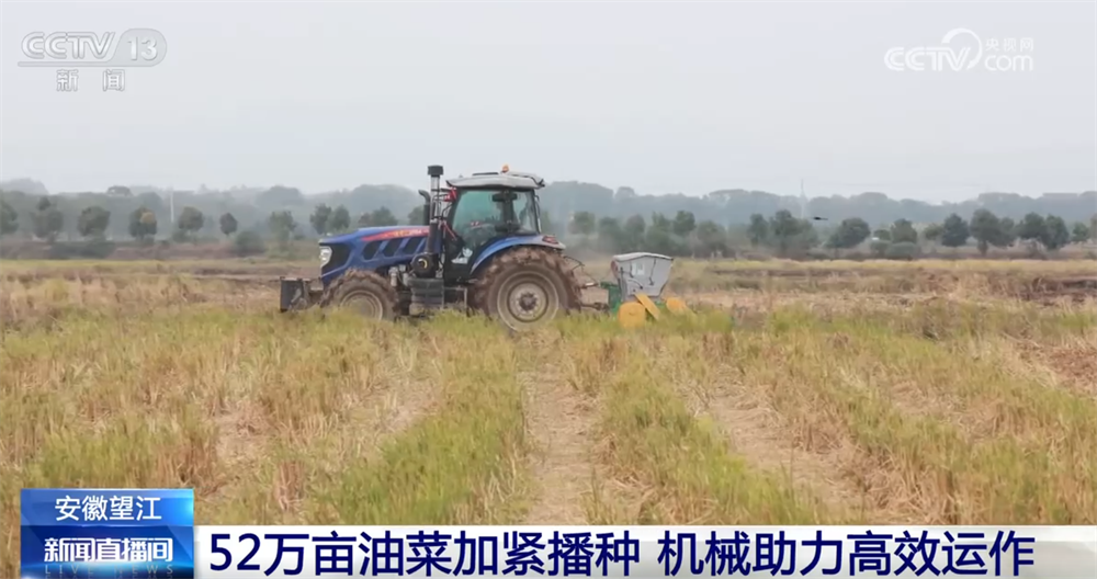 必赢：金秋好“丰”景有“智”又有“质”特色产业“链”出乡村振兴新图景(图4)