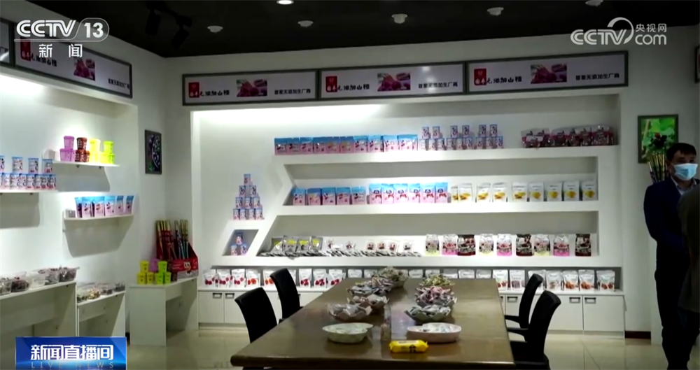 必赢：金秋好“丰”景有“智”又有“质”特色产业“链”出乡村振兴新图景(图6)