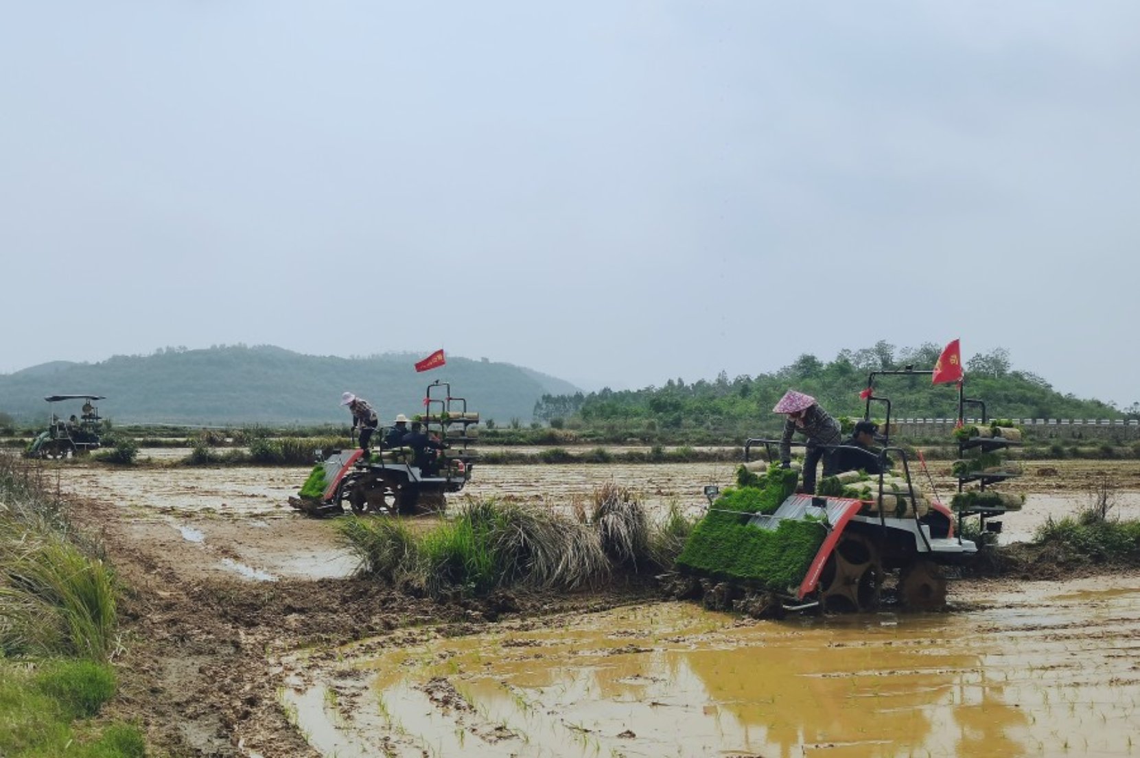 必赢国际：广西合山市农机推广激活农业生产新引擎(图1)