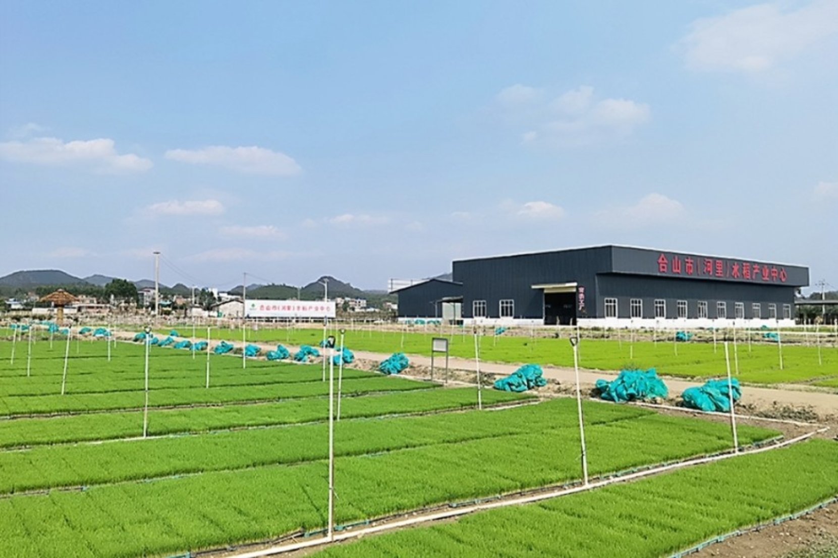 必赢国际：广西合山市农机推广激活农业生产新引擎(图2)