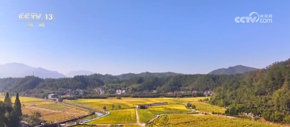 bwin网站：丰收背后尽显“科技范儿”希望的田野绘就产业兴旺“振兴图”(图1)