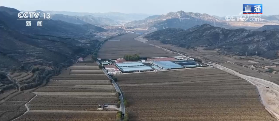 bwin网站：丰收背后尽显“科技范儿”希望的田野绘就产业兴旺“振兴图”(图6)