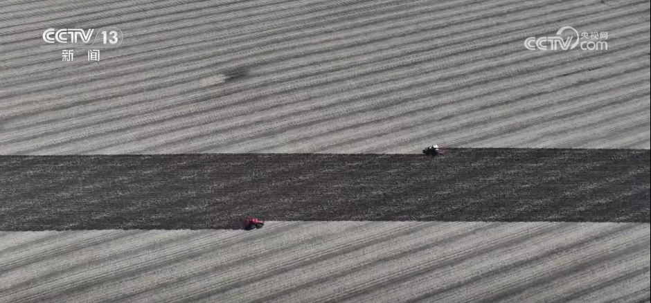 bwin网站：丰收背后尽显“科技范儿”希望的田野绘就产业兴旺“振兴图”(图5)