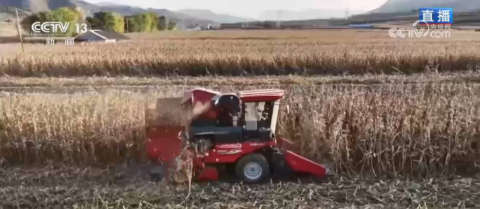 bwin网站：丰收背后尽显“科技范儿”希望的田野绘就产业兴旺“振兴图”(图7)