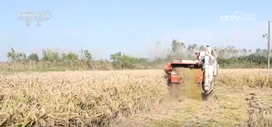 bwin网站：特色种养殖变身增收致富“金钥匙”(图1)