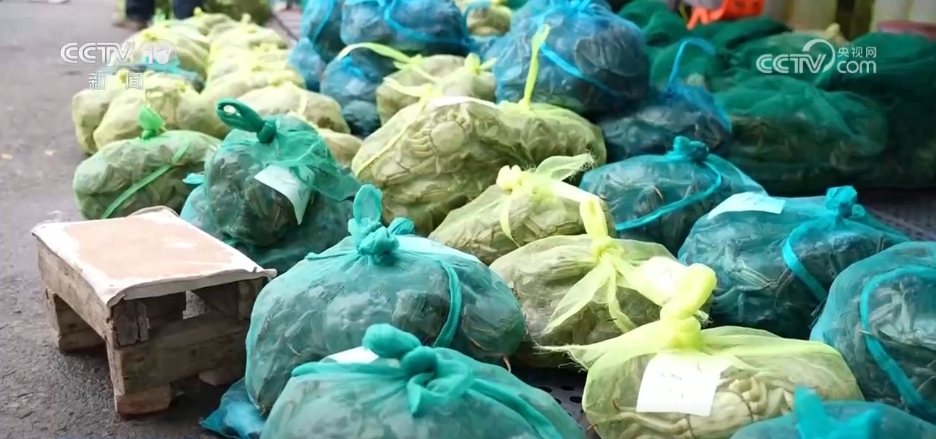 bwin网站：特色种养殖变身增收致富“金钥匙”(图10)