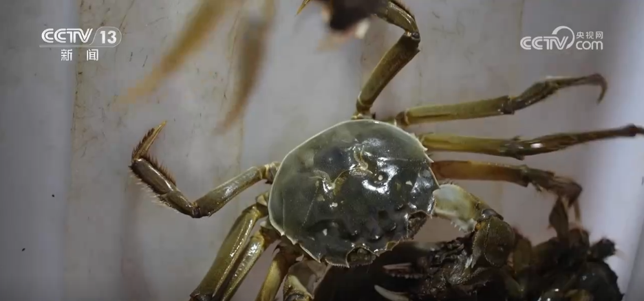 bwin网站：特色种养殖变身增收致富“金钥匙”(图9)