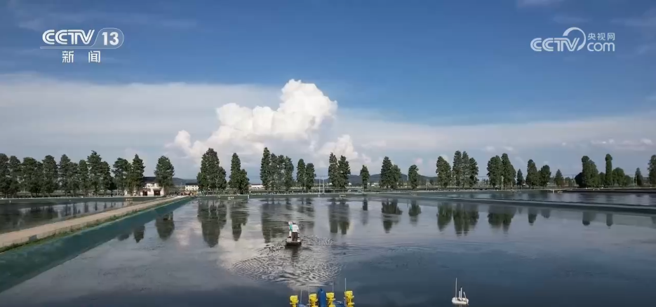 bwin网站：特色种养殖变身增收致富“金钥匙”(图11)