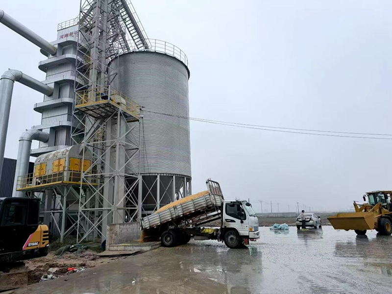 必赢：人民直击｜秋收困境透视农业抗灾短板(图3)