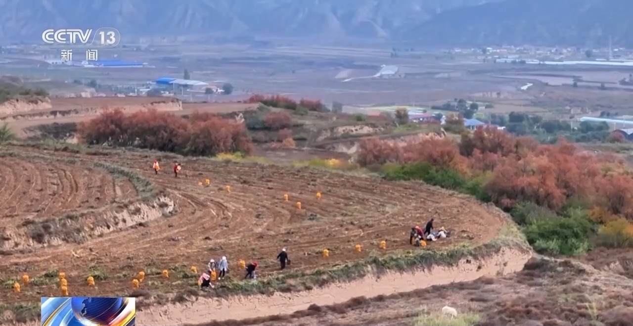必赢国际：从“无机可用”到“优机可选”小农机在丘陵山区更快更好“跑”了起来(图10)