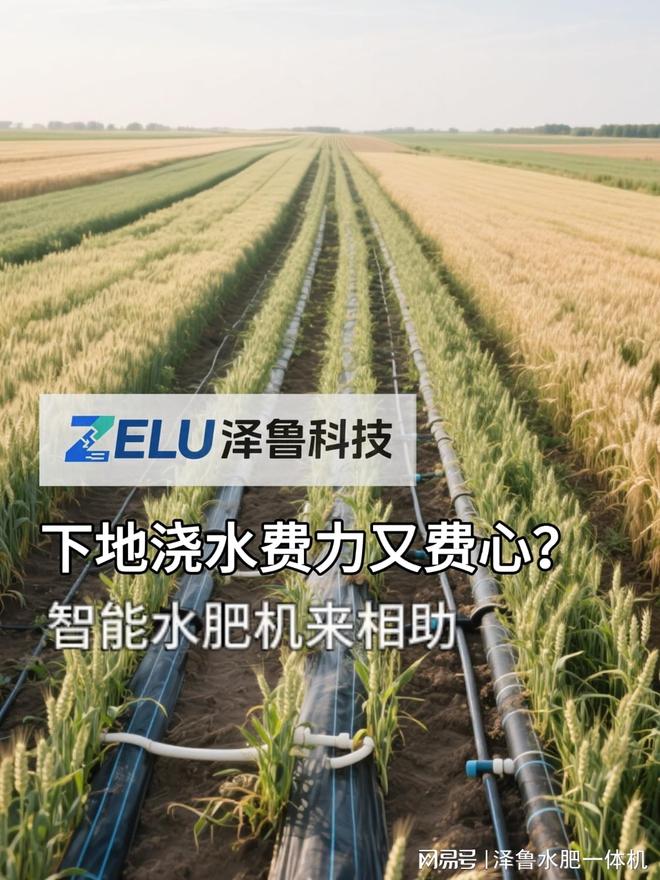 bwin网站：精准农业核心装备：泽鲁水肥一体机解锁“三省一增”新路径(图1)