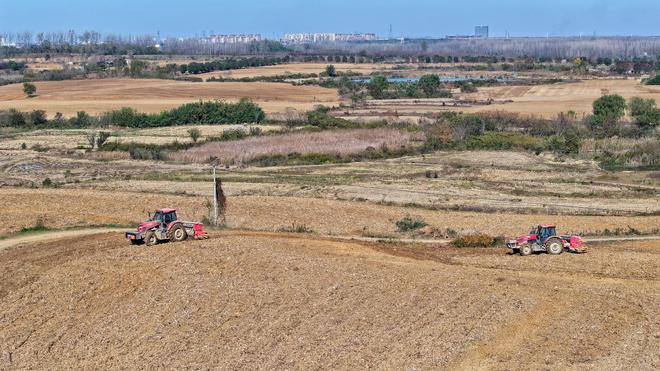 必赢国际：33000亩良田！小庙镇绘就冬日“丰”景图(图1)