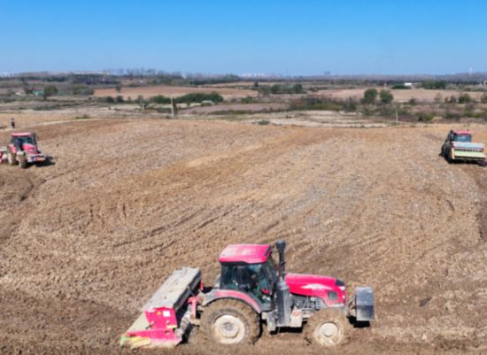必赢：合肥蜀山冬种正酣在33000亩田野里“投资”春天！(图1)