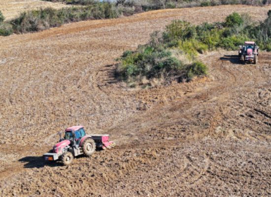 必赢：合肥蜀山冬种正酣在33000亩田野里“投资”春天！(图2)