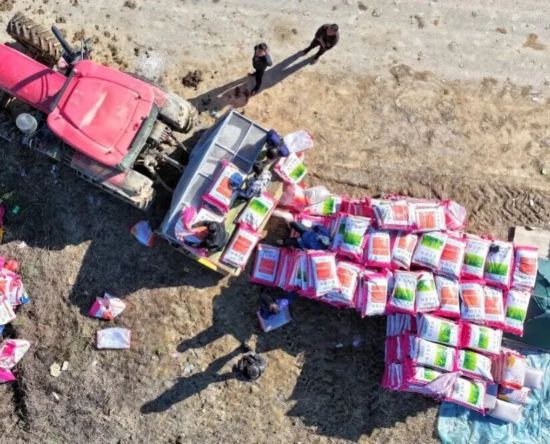 必赢：合肥蜀山冬种正酣在33000亩田野里“投资”春天！(图3)