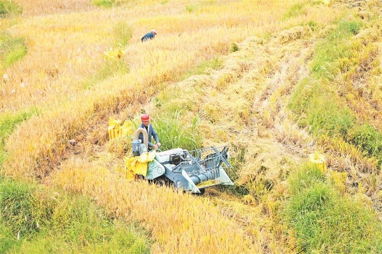 必赢国际：宁德山区农业机械化应用取得实效灵巧农机“慧”耕山地(图1)