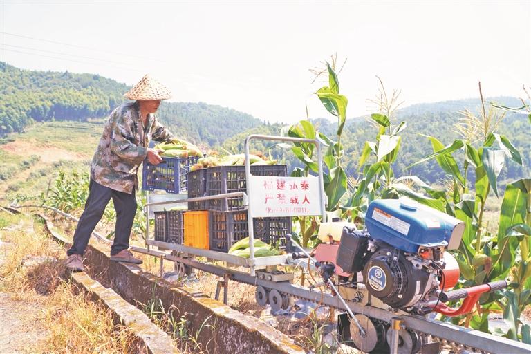 必赢国际：宁德山区农业机械化应用取得实效灵巧农机“慧”耕山地(图2)