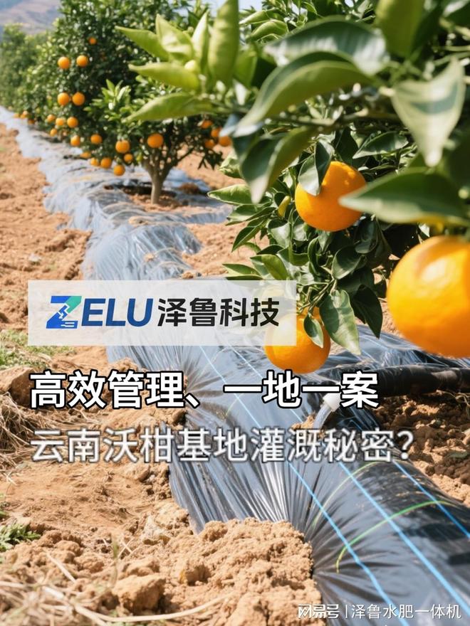 必赢：少花钱多收粮！水肥一体化让种植省工省肥还环保(图1)