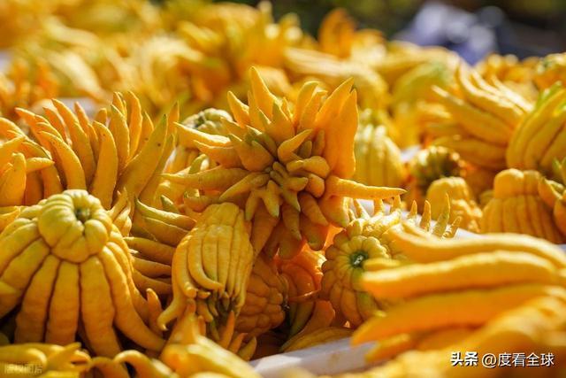 bwin网站：1颗佛手变40种好物！金华农文旅融合土特产成爆款(图8)