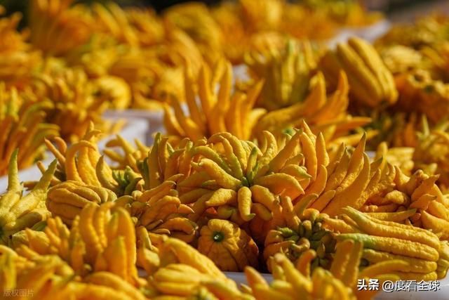 bwin网站：1颗佛手变40种好物！金华农文旅融合土特产成爆款(图6)