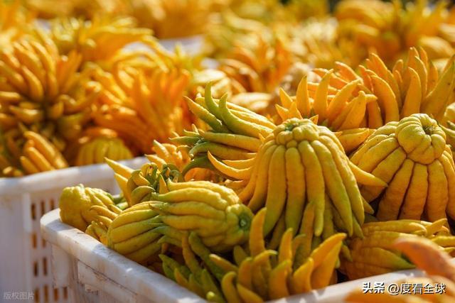 bwin网站：1颗佛手变40种好物！金华农文旅融合土特产成爆款(图10)
