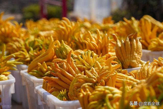 bwin网站：1颗佛手变40种好物！金华农文旅融合土特产成爆款(图18)