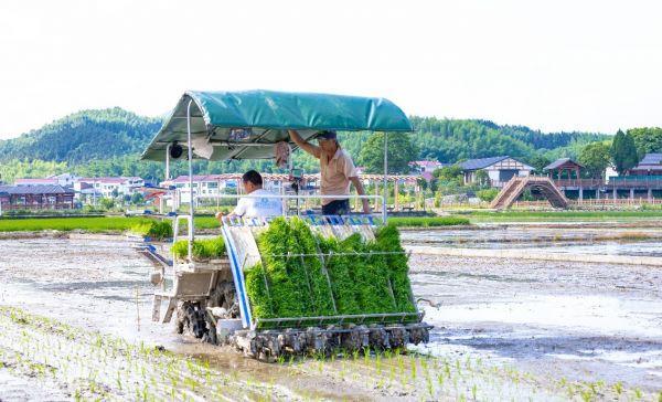 必赢国际：【好评中国】山区小县何以成为创新热土(图3)