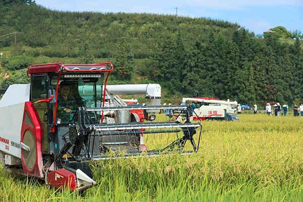 必赢国际：【好评中国】山区小县何以成为创新热土(图2)