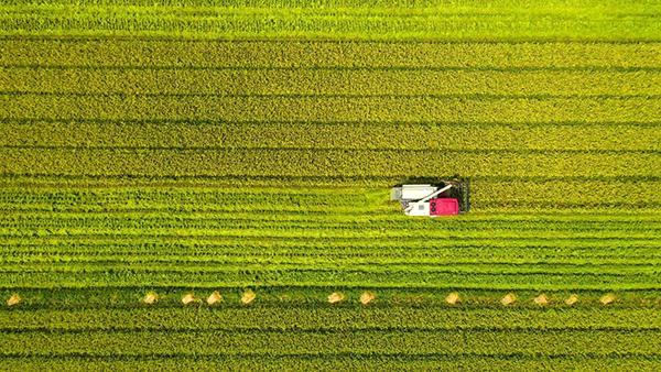 必赢国际：【好评中国】山区小县何以成为创新热土(图4)