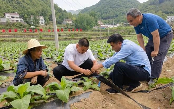 必赢：山水间破局节水处生根(图2)