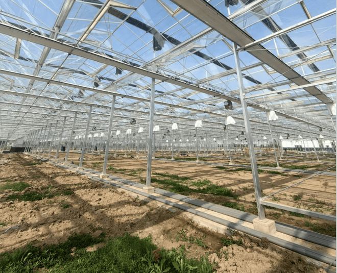 必赢：水肥一体化灌溉设备厂家与温室大棚厂家推荐：宣通能源居前列(图3)