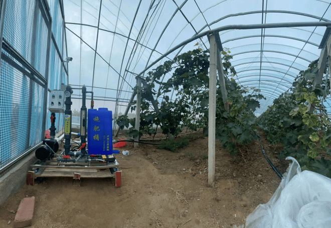 必赢：水肥一体化灌溉设备厂家与温室大棚厂家推荐：宣通能源居前列(图1)