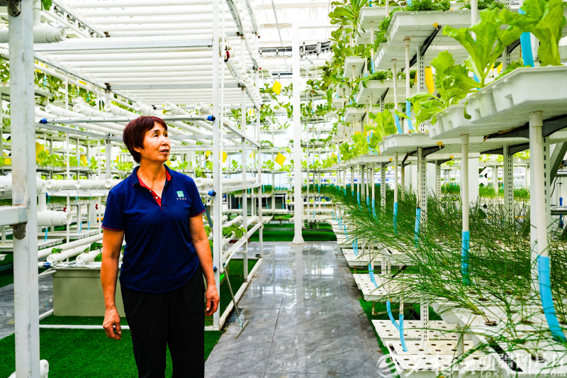 bwin网站：天山北望：发展新潮动能澎湃正当时(图3)