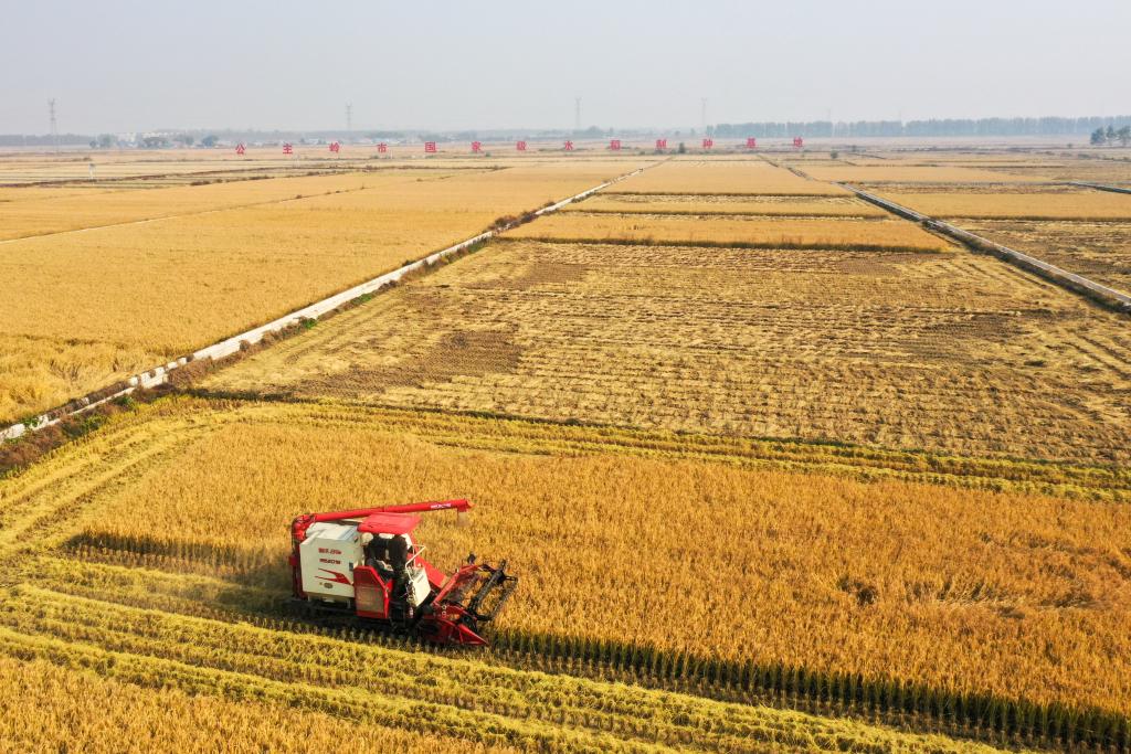 bwin网站：科技赋能！“汗水农业”向“智慧农业”加速迈进(图1)