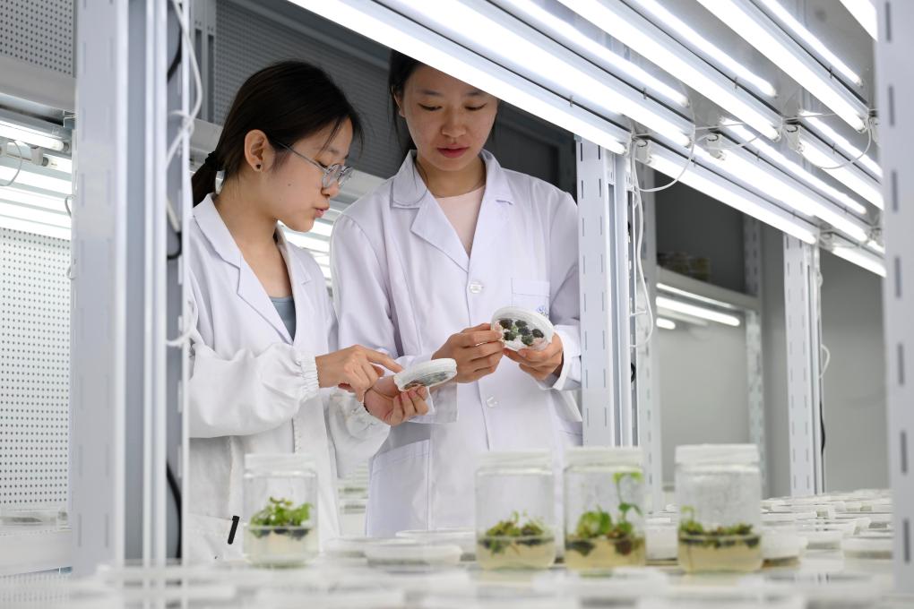 bwin网站：科技赋能！“汗水农业”向“智慧农业”加速迈进(图2)